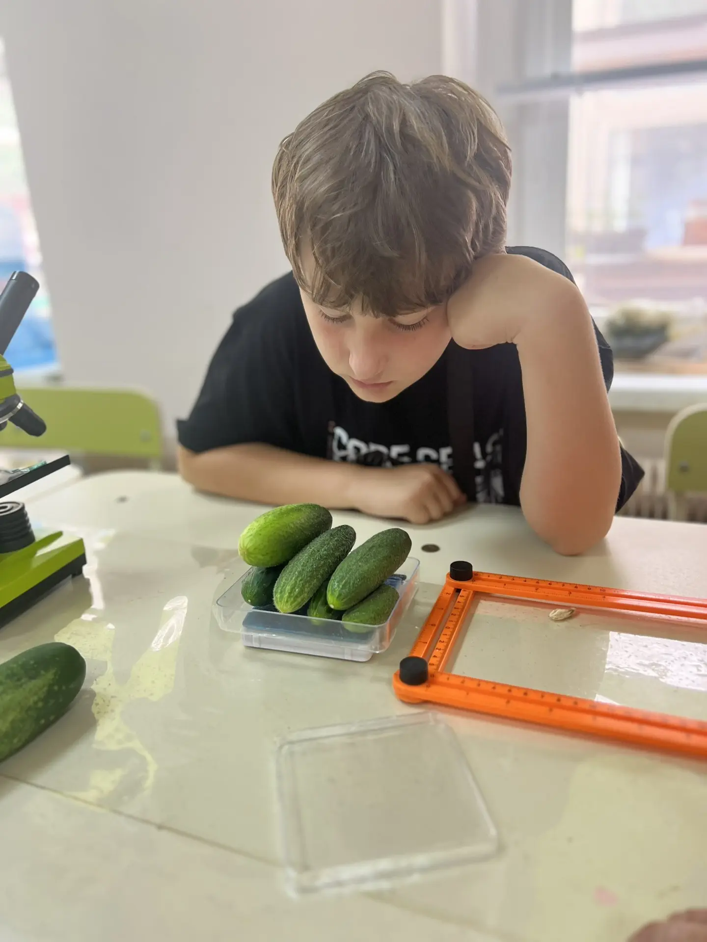 🌱 Первые огурчики сезона: юные агрономы делятся результатами!

В нашем эколого-биологическом центре