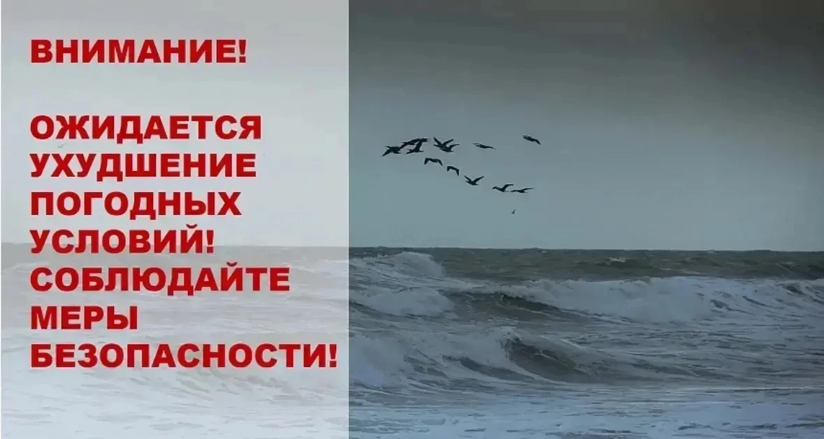 Изображение 1 к публикации ««Наша Газета» Новости Новороссийска»