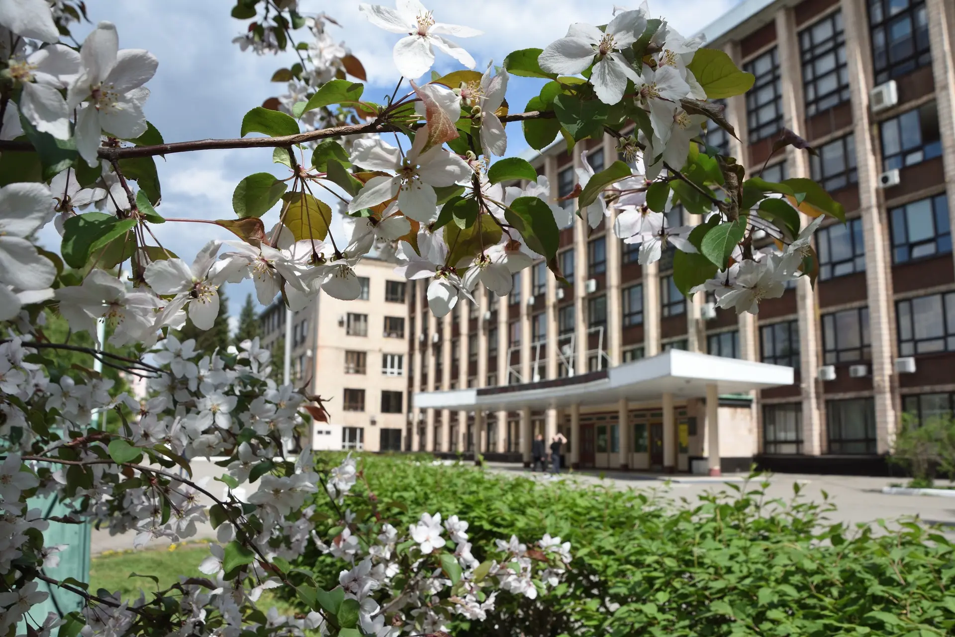 А за окном май 🌸  Красота вокруг, солнце, зелень — даже дорога до главного корпуса теперь радует. Вд