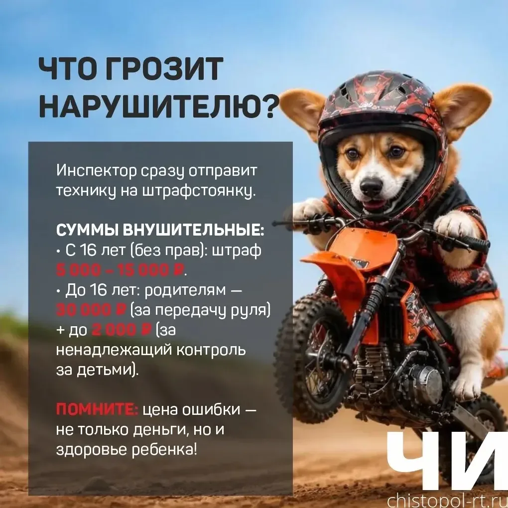⚠Опасная игрушка подростков — питбайки. Дети гоняют на мини-мотоциклах по дворам и на у...