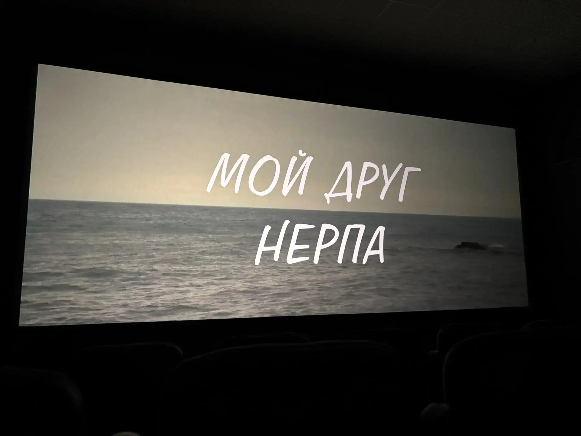Вчерашний день для наших ребят был настоящим путешествием в мир кино и истории родного края!

Дент п