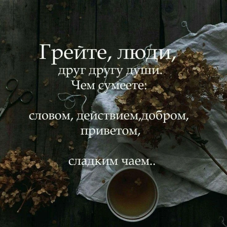 Цитаты жизни