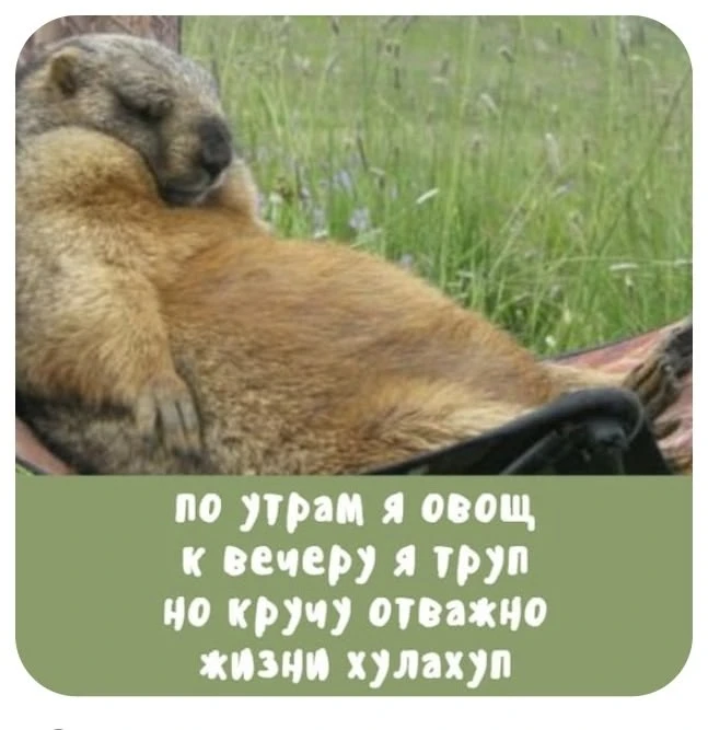 Подпишись, чтобы не потерять👇
