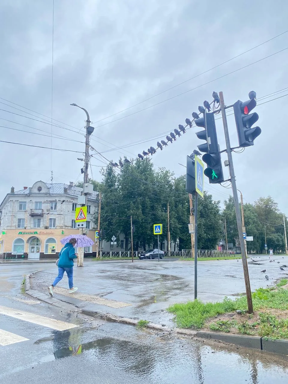 Пройти под этой группировкой и быть счастливым всю жизнь

👍 Будь в курсе | Кострома
👉 Подписаться 