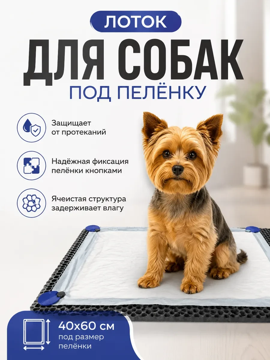 ⚡️ Лоток для собак под пеленку, Антицарапки
