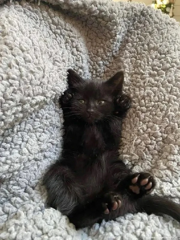 💤 Доброй ночи!