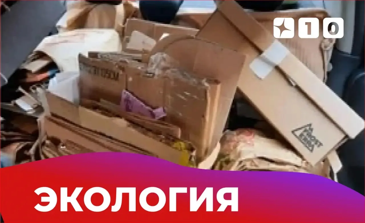 🧒🏻📦 Наши маленькие герои большой экологии!  Учащиеся 2М класса доказали: спасать природу никогда не 