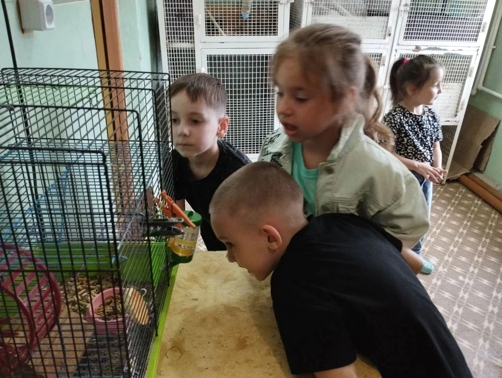 Обучающиеся Школы раннего развития «Почемучки» под руководством педагога Валеевой Розы ...
