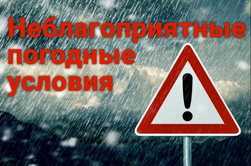 6 сентября 2026 года местами по Республике Марий Эл грозы, ночью местами порывы ветра 1...