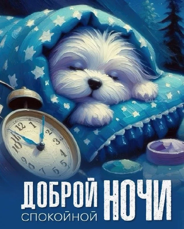 Открытки в ТГ
Открытки в МАХ