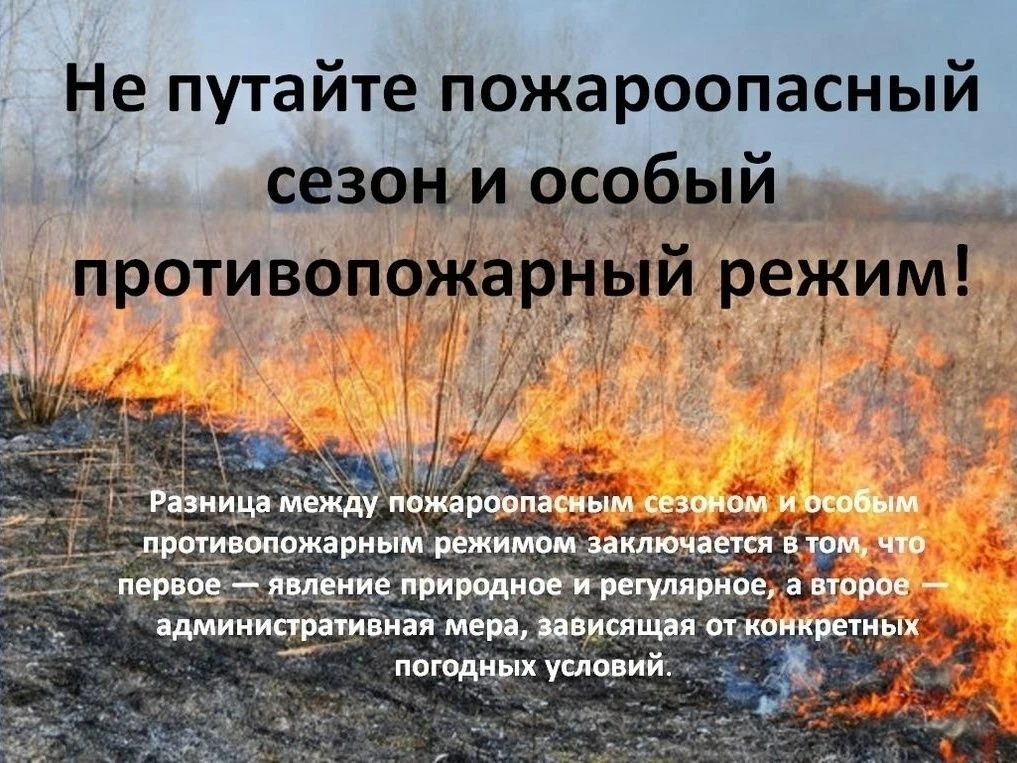 ☝️Не путайте пожароопасный сезон и особый противопожарный режим.
