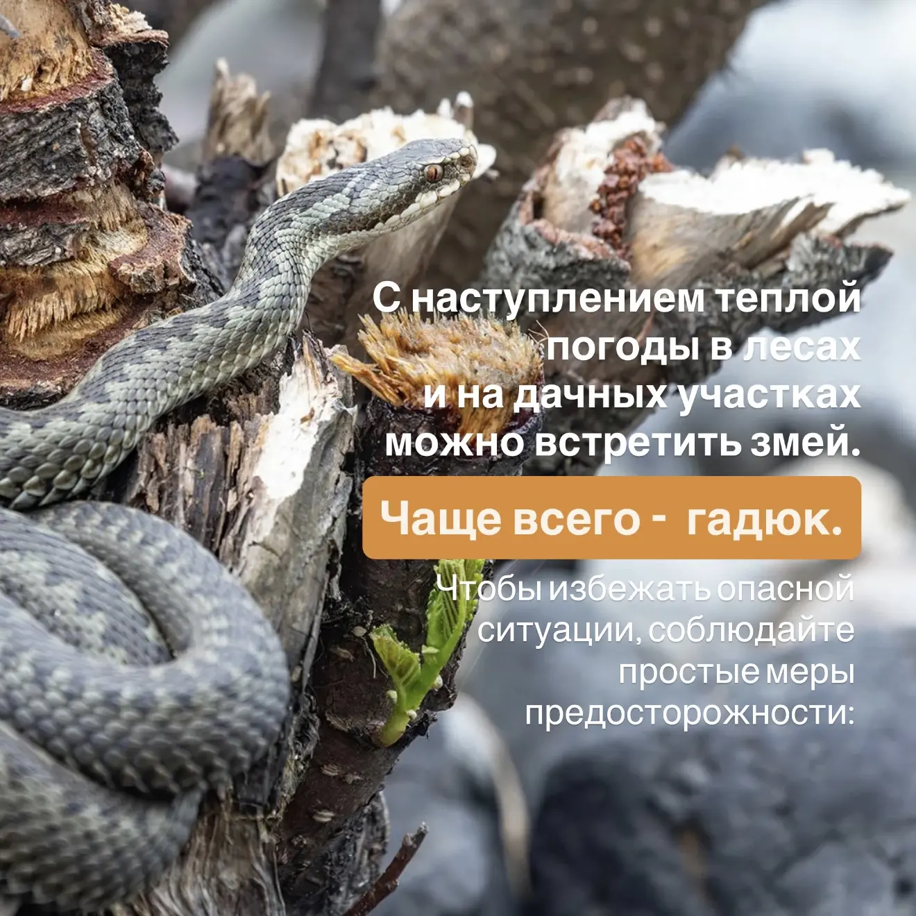 С началом летнего сезона жители региона все чаще отправляются на природу и на дачи. Нап...