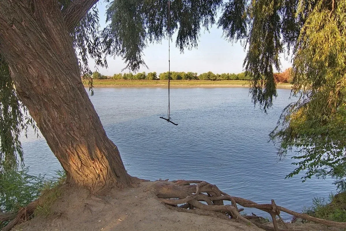 То самое летнее фото из детства 🌞