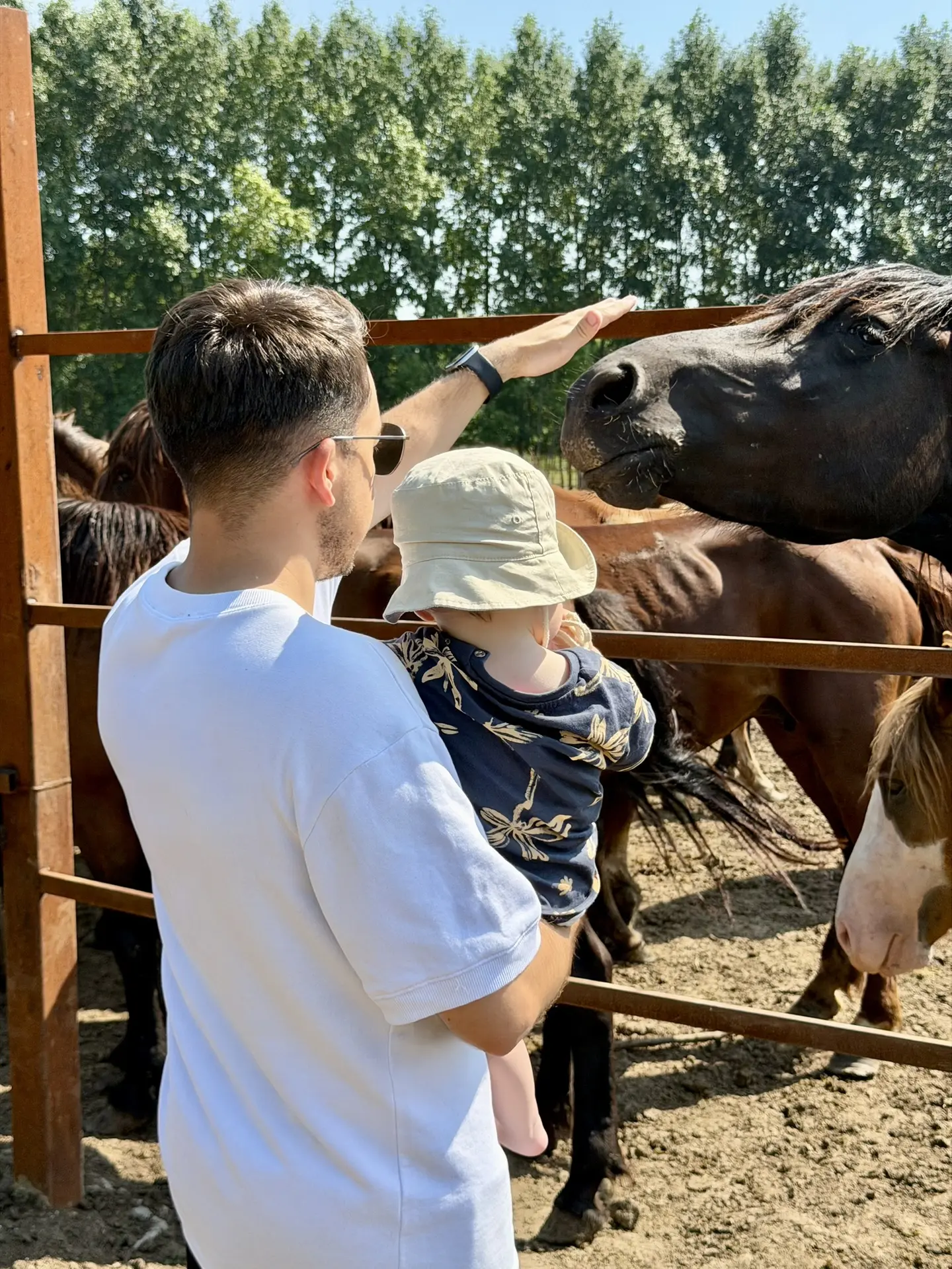 Знакомство с конефермой 🐴 
К животным у сына особая любовь…

Впервые он видел лошадей осенью прошло