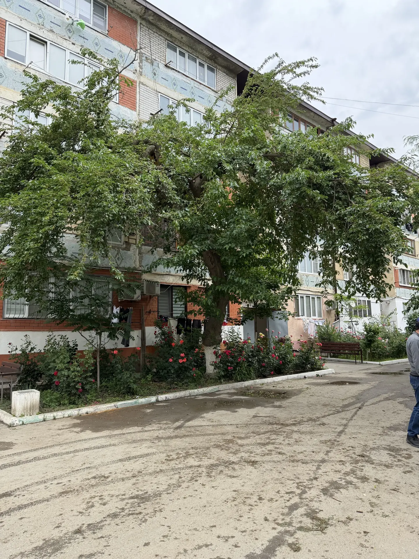 Г.Цадаса 94а спилили и вывезли сухое и аварийное дерево