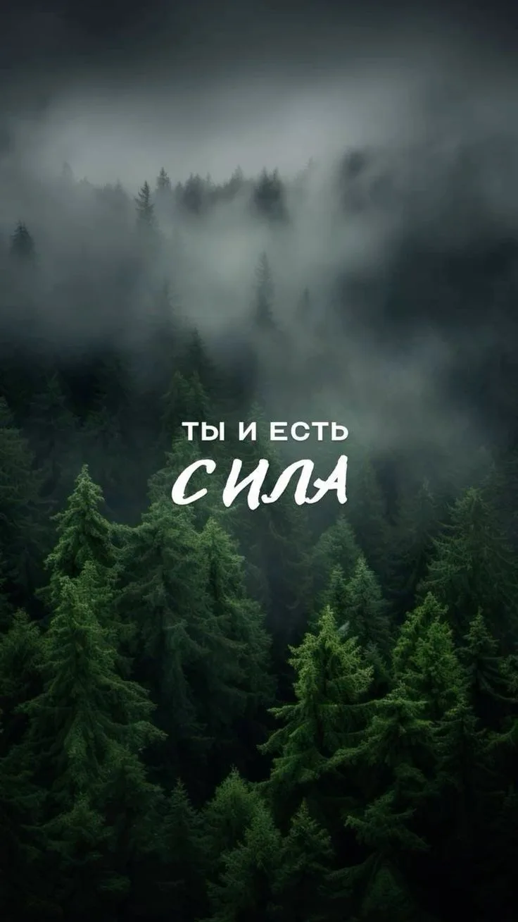 ВАША НЕИДЕАЛЬНОСТЬ — ВАША СВОБОДА