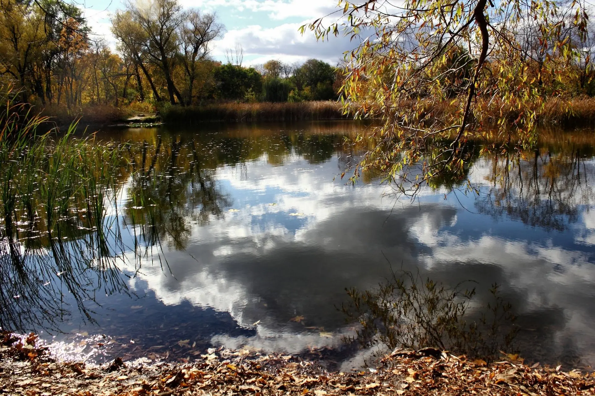 🌳БОТАНИЧЕСКИЙ САД ОТКРЫВАЕТСЯ