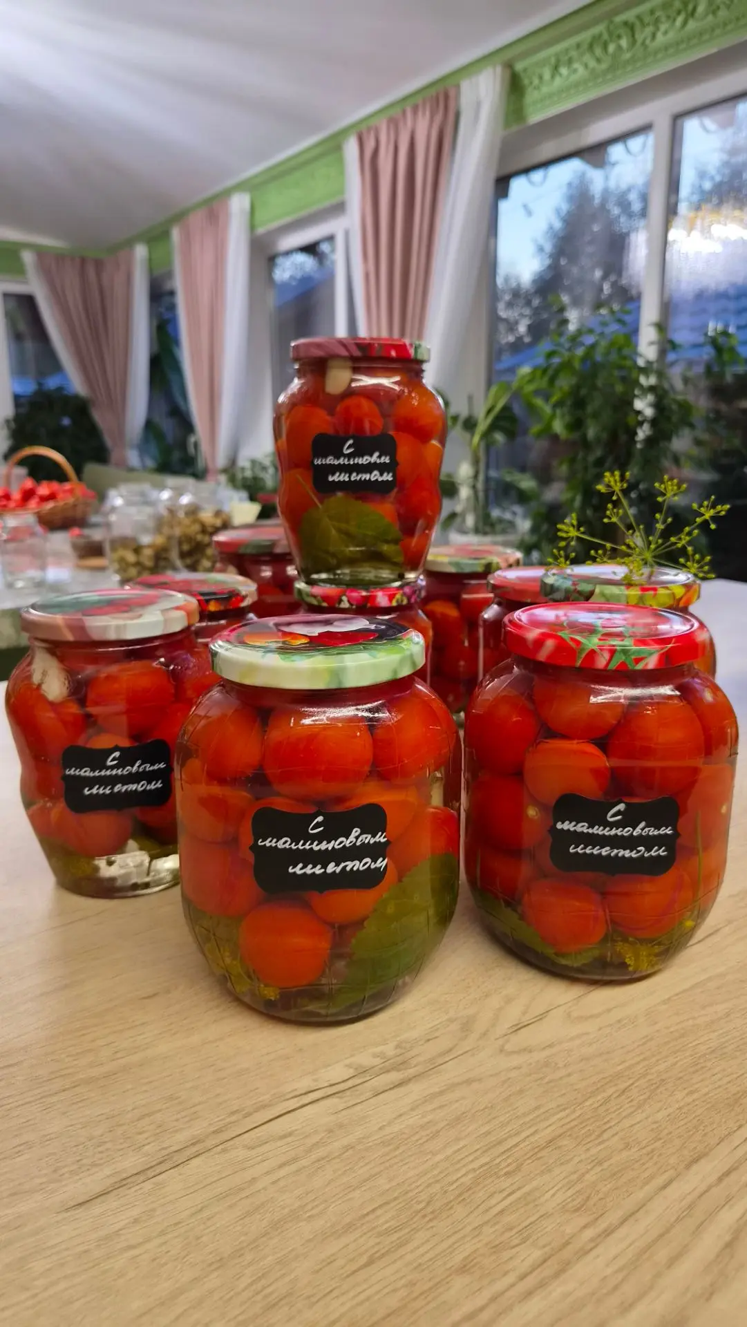 Помидоры 🍅 с малиновым листом.