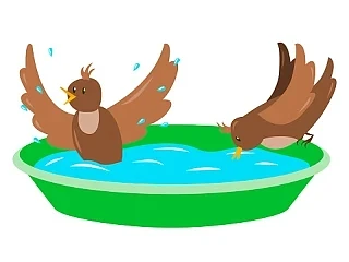 С наступлением жары , мы не забыли о наших маленьких пернатых соседях. Наши воспитаники  совместно с