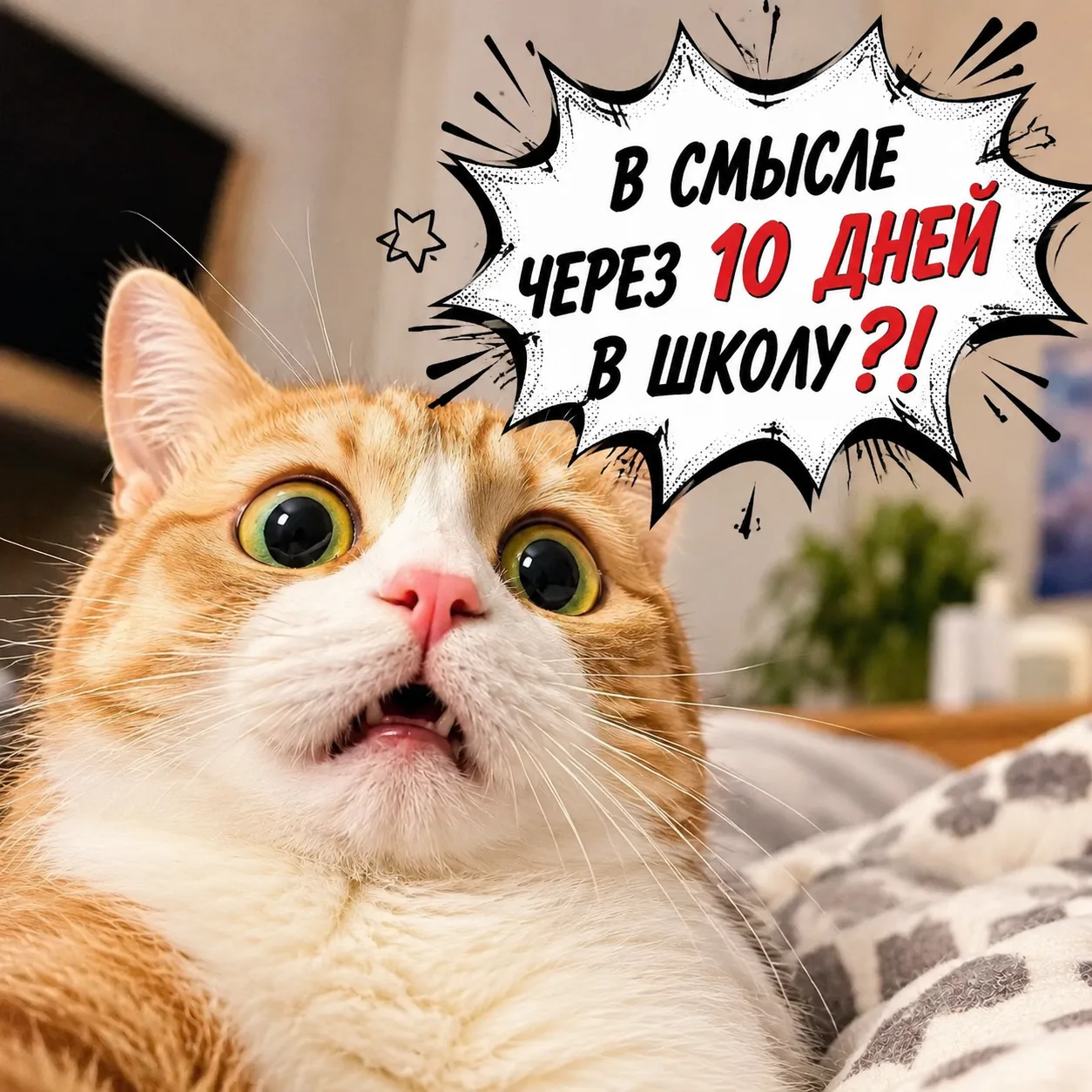 Никаких намёков! 😇