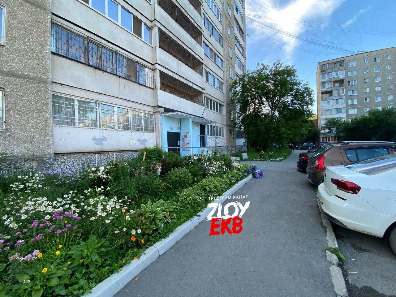 Бардина 25 к1

Начался стрижепад. 
Стрижа посадила на ладонь, но он не может взлететь, снова падает.