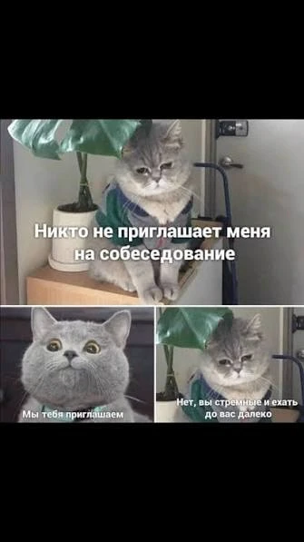 @RABOTA_IRKUTSK_REZUME