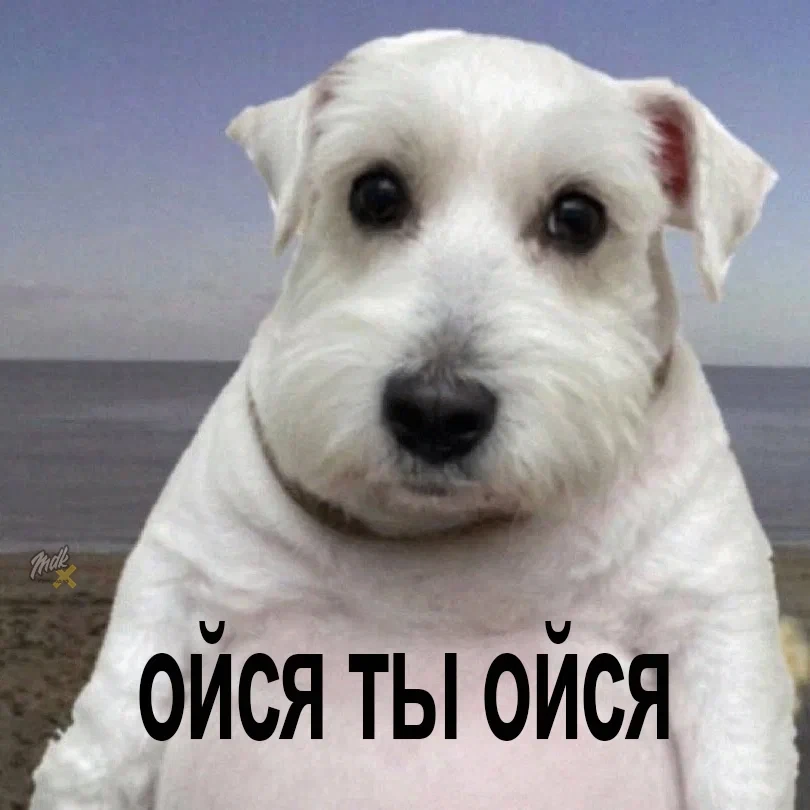Наш, сразу видно