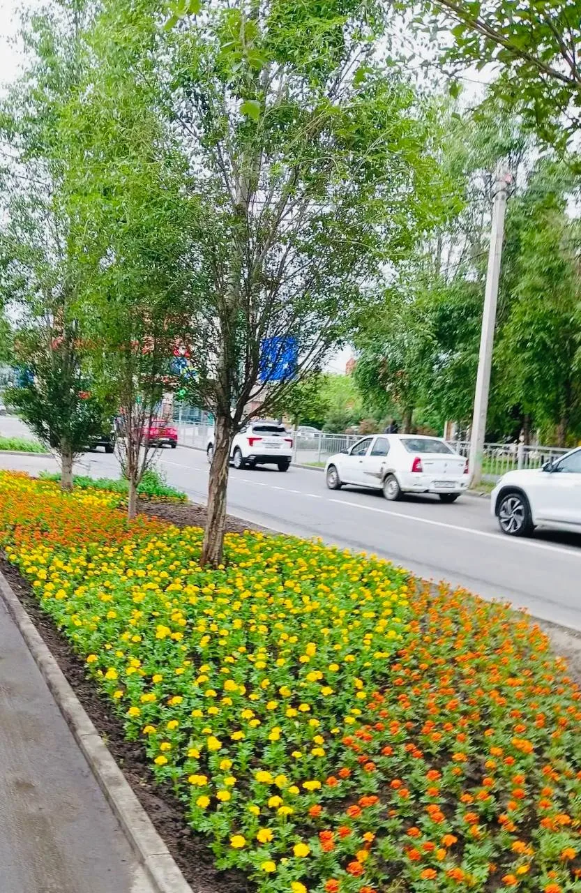 В Железнодорожном районе завершили работу по высадке сезонных цветов на общественных территориях. 🌸