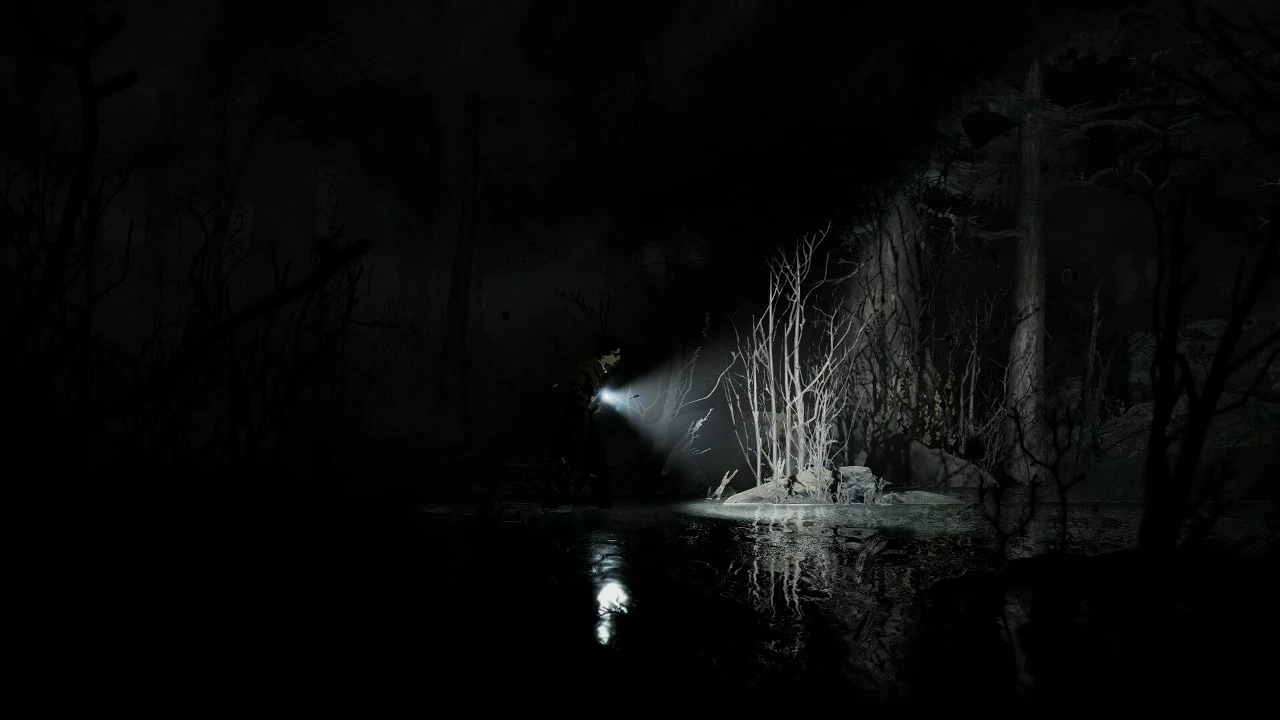Атмосферный survival horror Silver Pines получил высокие оценки от критиков. На OpenCri...