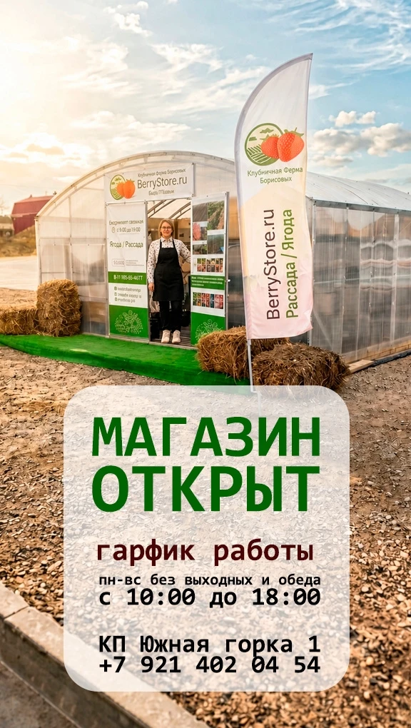 Пункт выдачи заказов - Магазинчик