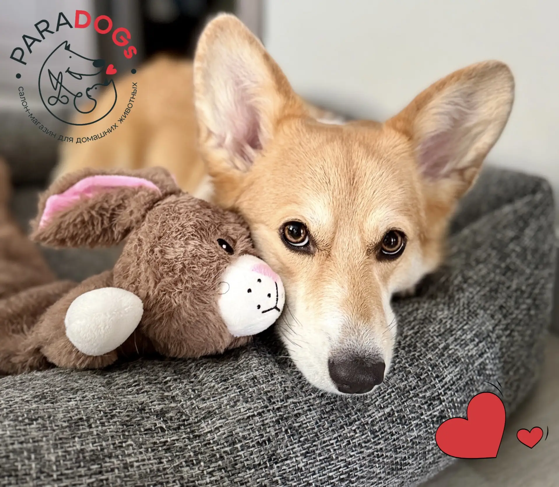 🐰Наши игрушки 🟰 взаимная любовь 🥰  

Мягкие, шуршащие, с канатиками, с пищалками — в наших зоосал