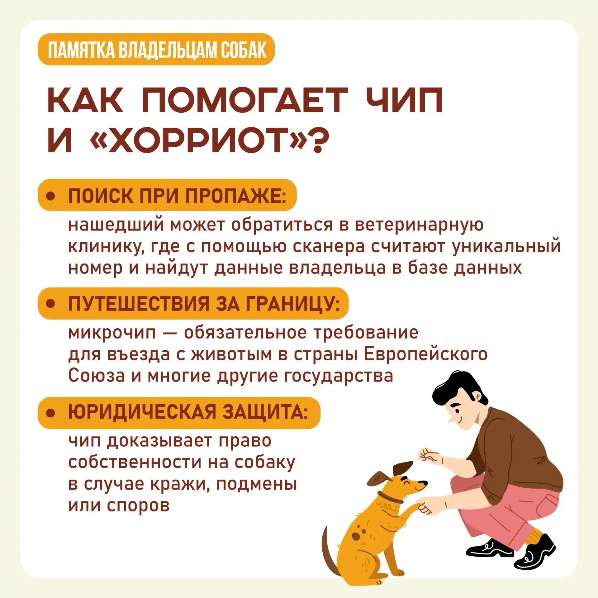 А у вас дома живет собака? Тогда вам нужно ее зарегистрировать!  ‼️Процедура обязательна вне зависим