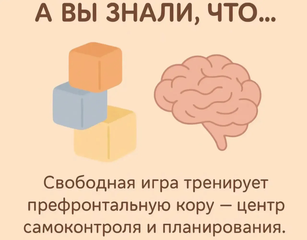 До 6 лет ребенок не осознает слово "надо"

В дошкольном возрасте нейронные связи в префронтальной ко