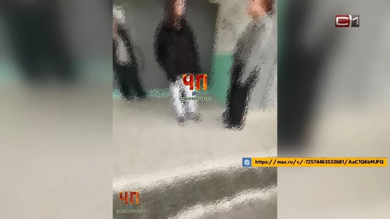 В Югре две школьницы избили девушку — СК организовал проверку