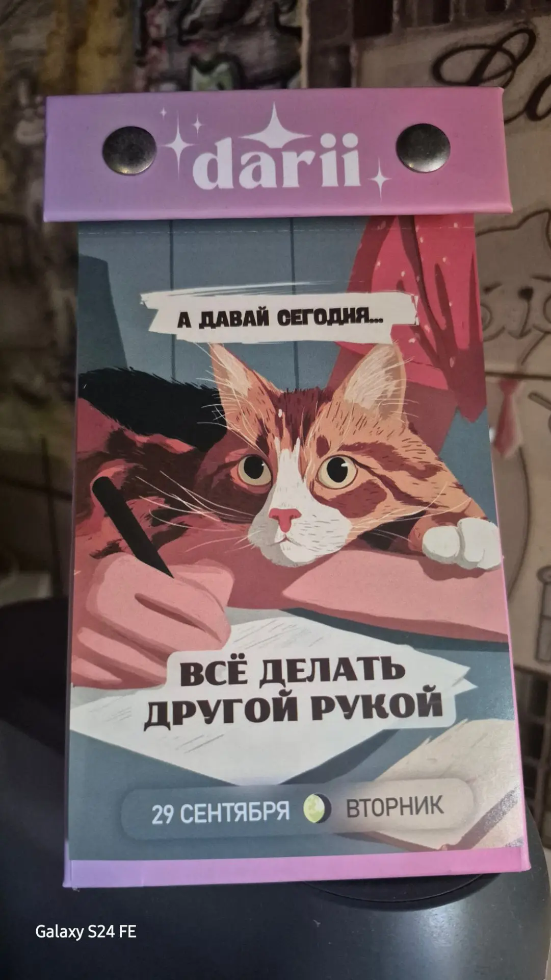 А давай сегодня...