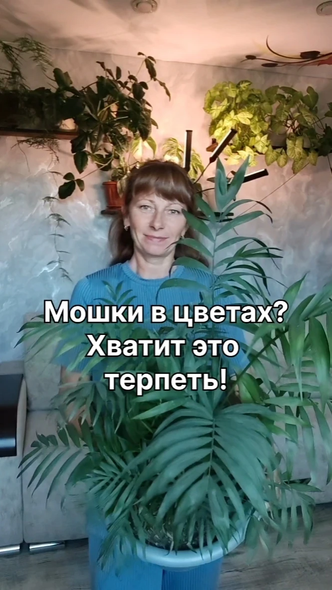 У вас в цветах завелись мошки и вы не знаете, что с ними делать?