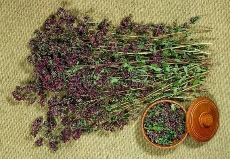 🌿 Чай восстанавливающий нервы