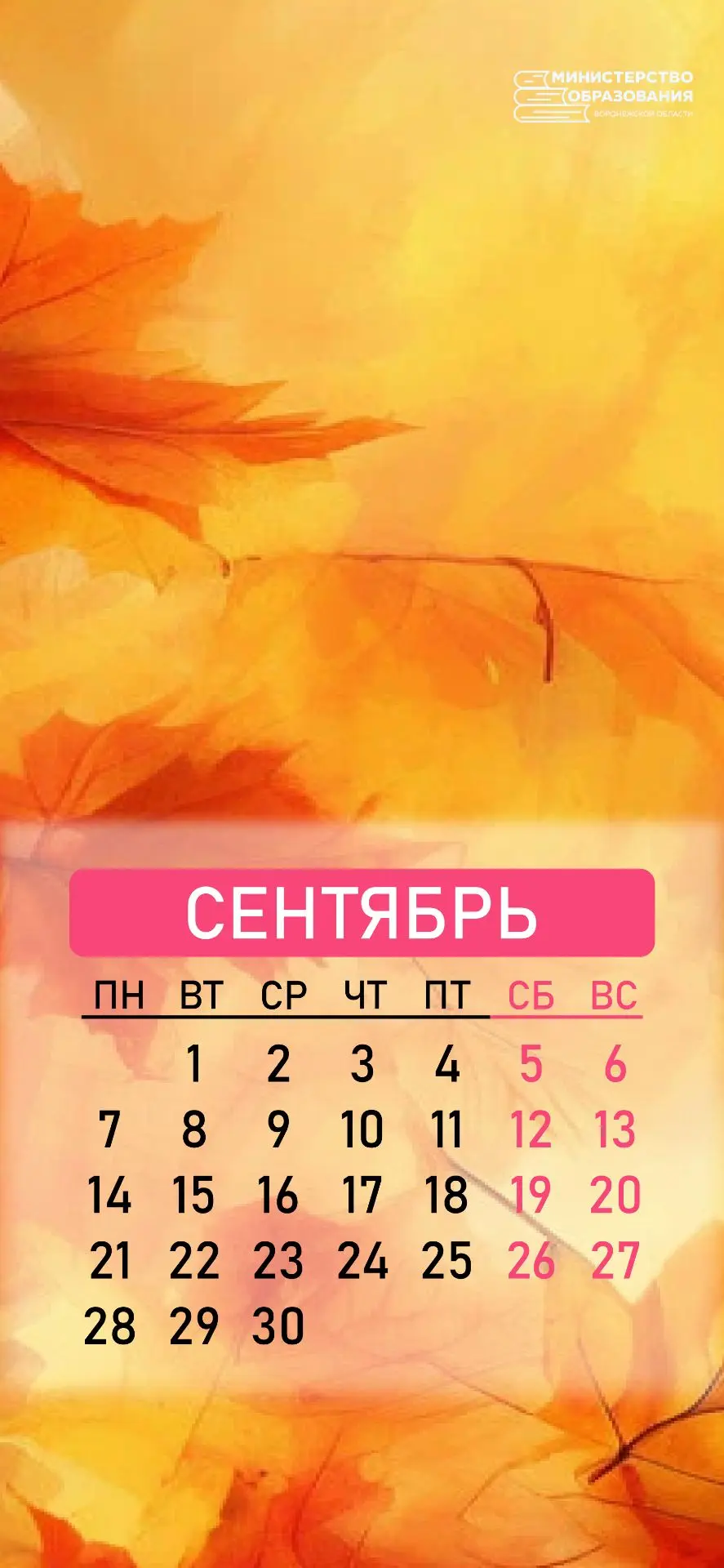 🎒 Лето близится к своему завершению, уже совсем скоро наступит осень, а значит, и учеб...