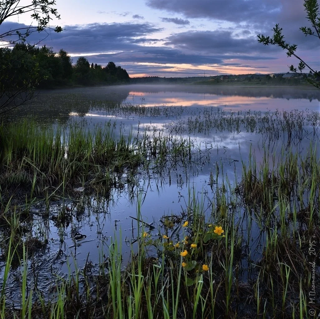 Река Мошевица. Село Верхнее Мошево

автор фото [id10909010|Михаил Плотников]