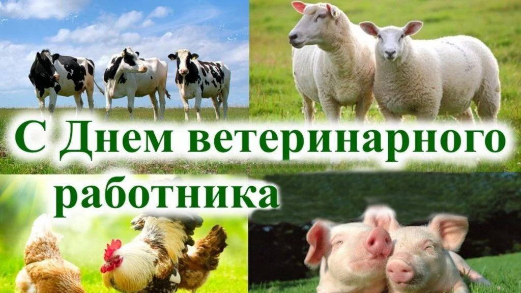 Уважаемые работники ветеринарной службы, дорогие ветераны!