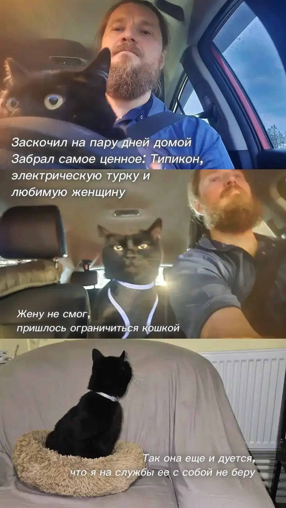 Диафильмы монастырской жизни растерянного ИТ-пономаря и его кошки