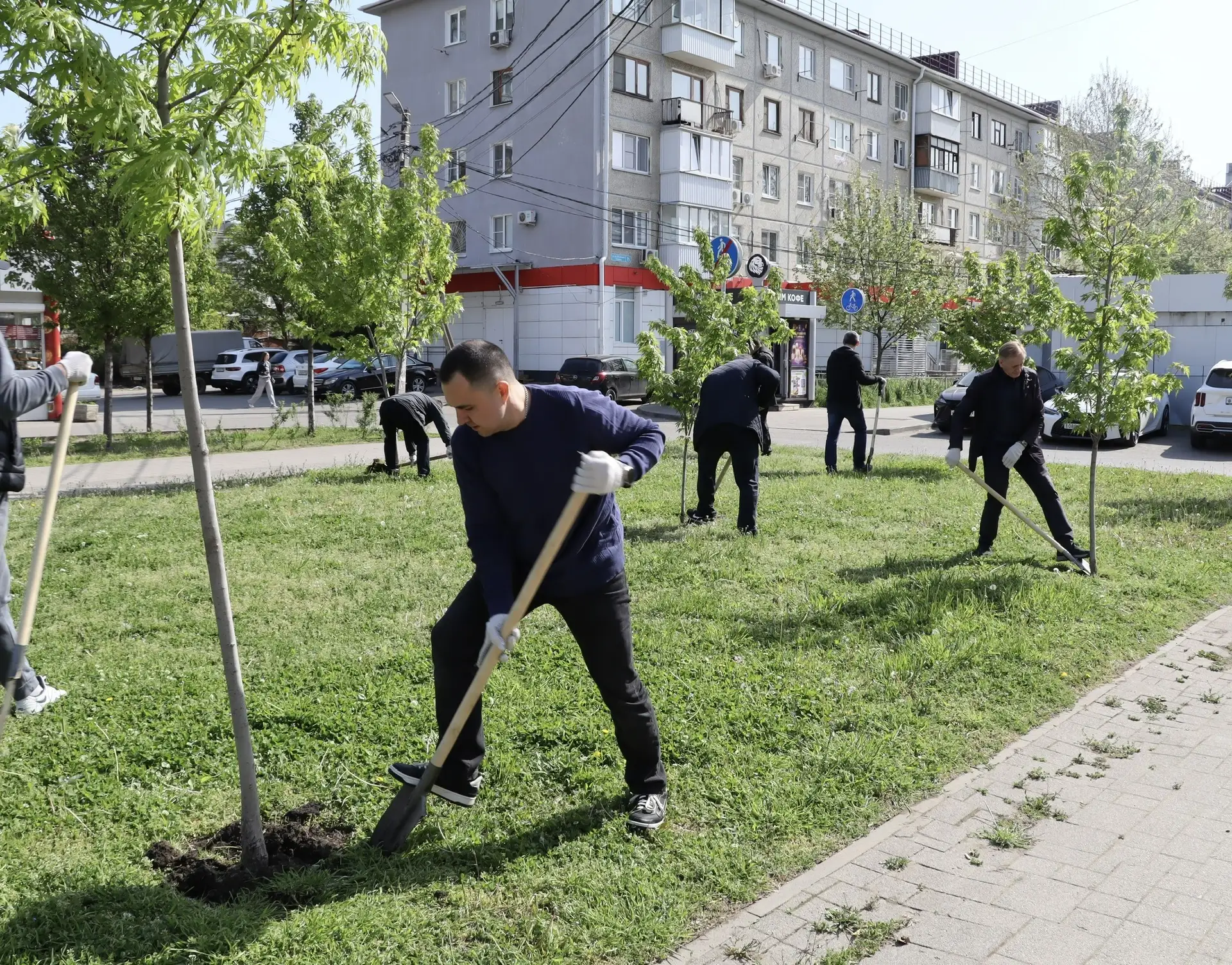 Сотрудники аппарата избирательной комиссии Краснодарского края и члены избирательных комиссий различ