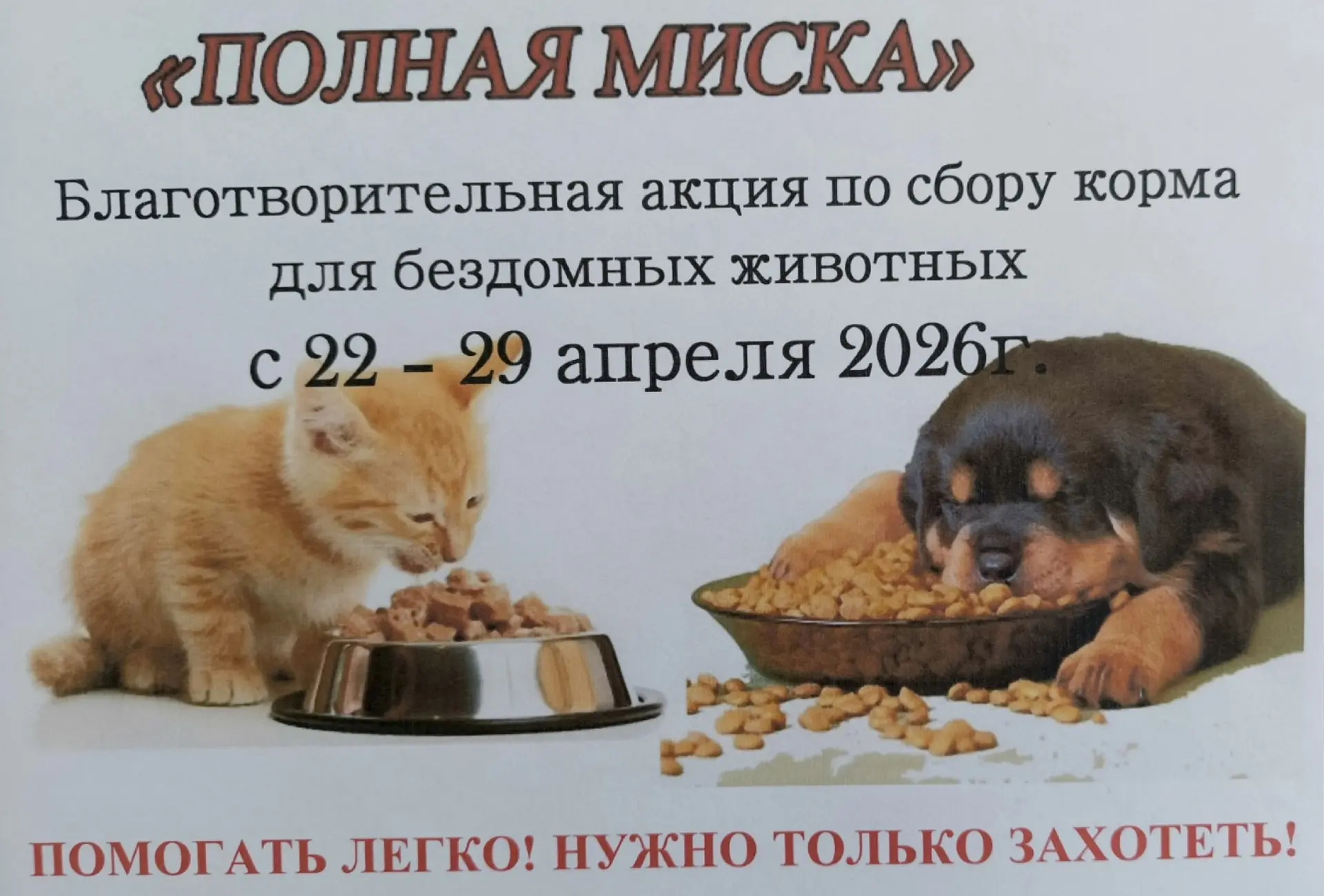 В школе прошла благотворительная акция «Полная миска» 🐾