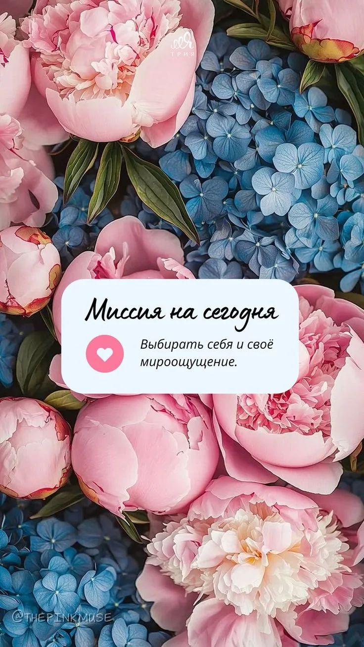 Миссия сегодняшнего дня 💫

Мой главный Гороскоп: подписаться ✨