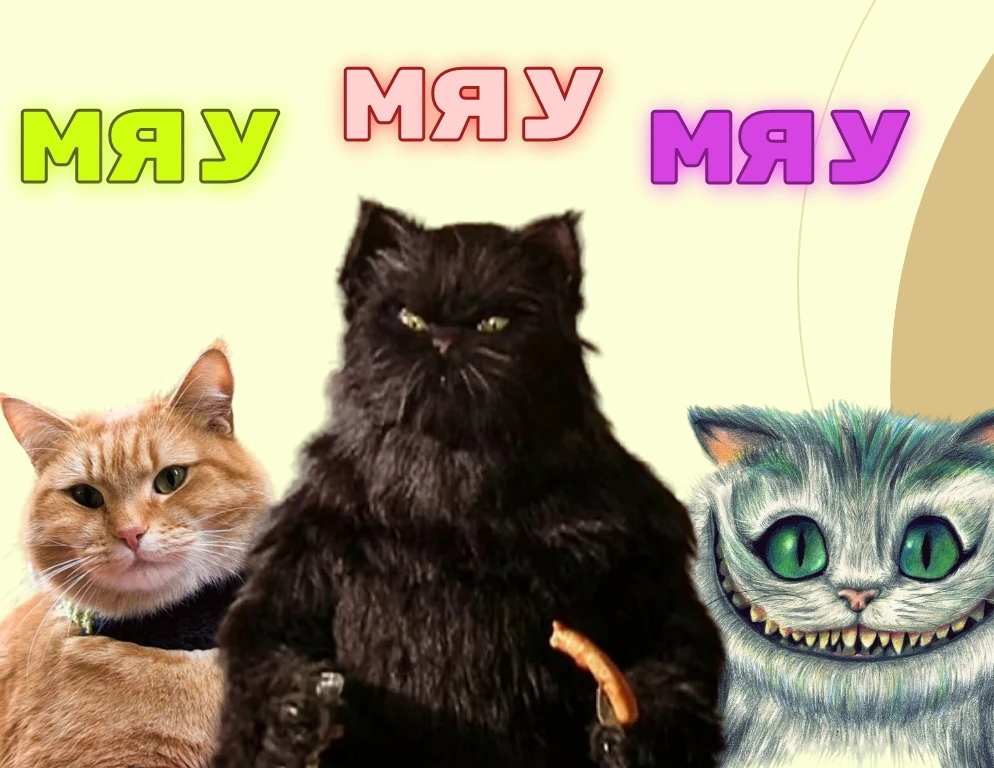 8 августа отмечается Всемирный день кошек🐾