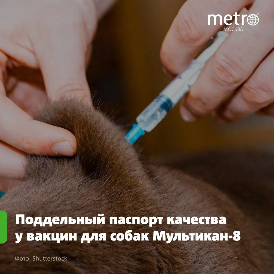 Поддельный паспорт качества нашли у производителя серии вакцин «Мультикан-8»