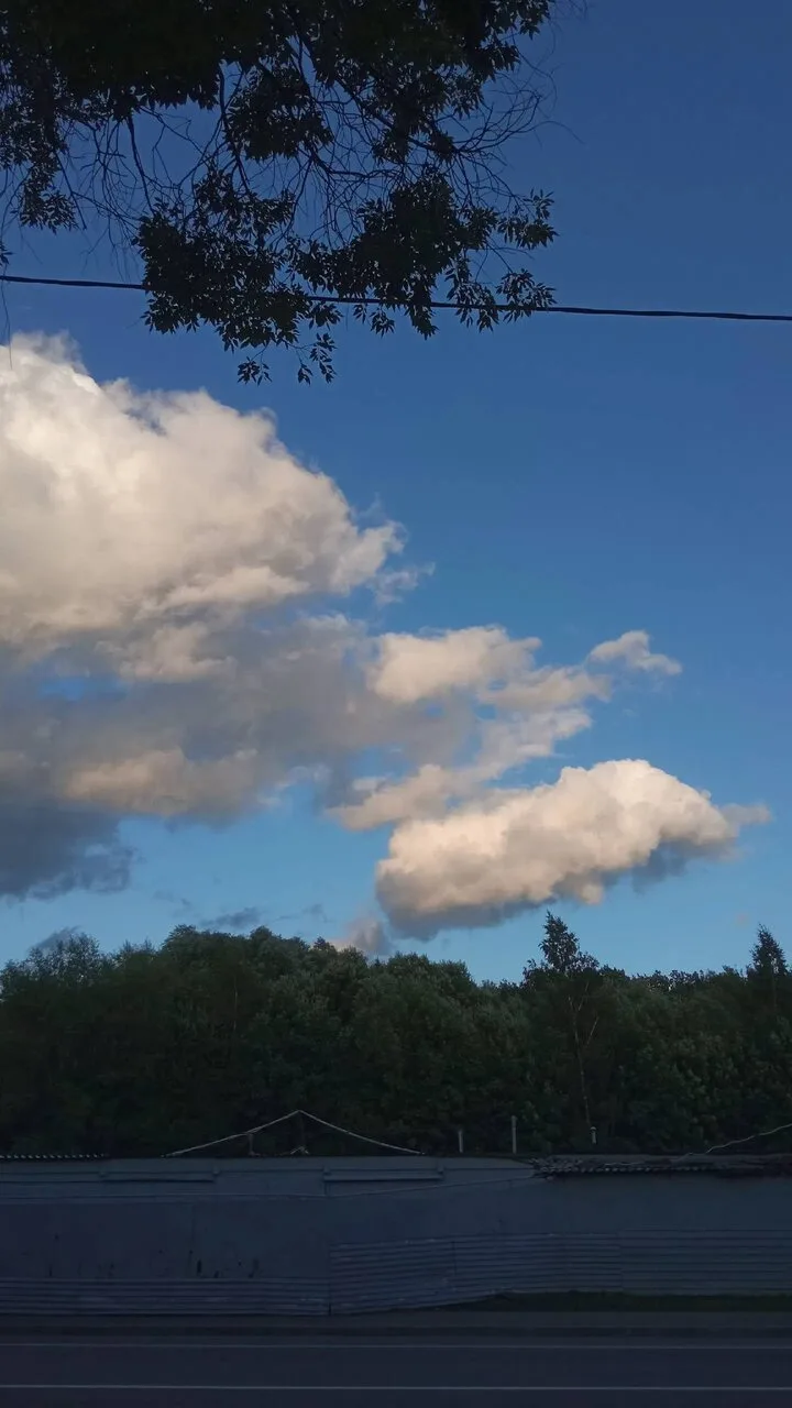 Куда-то всё спешат облака ☁