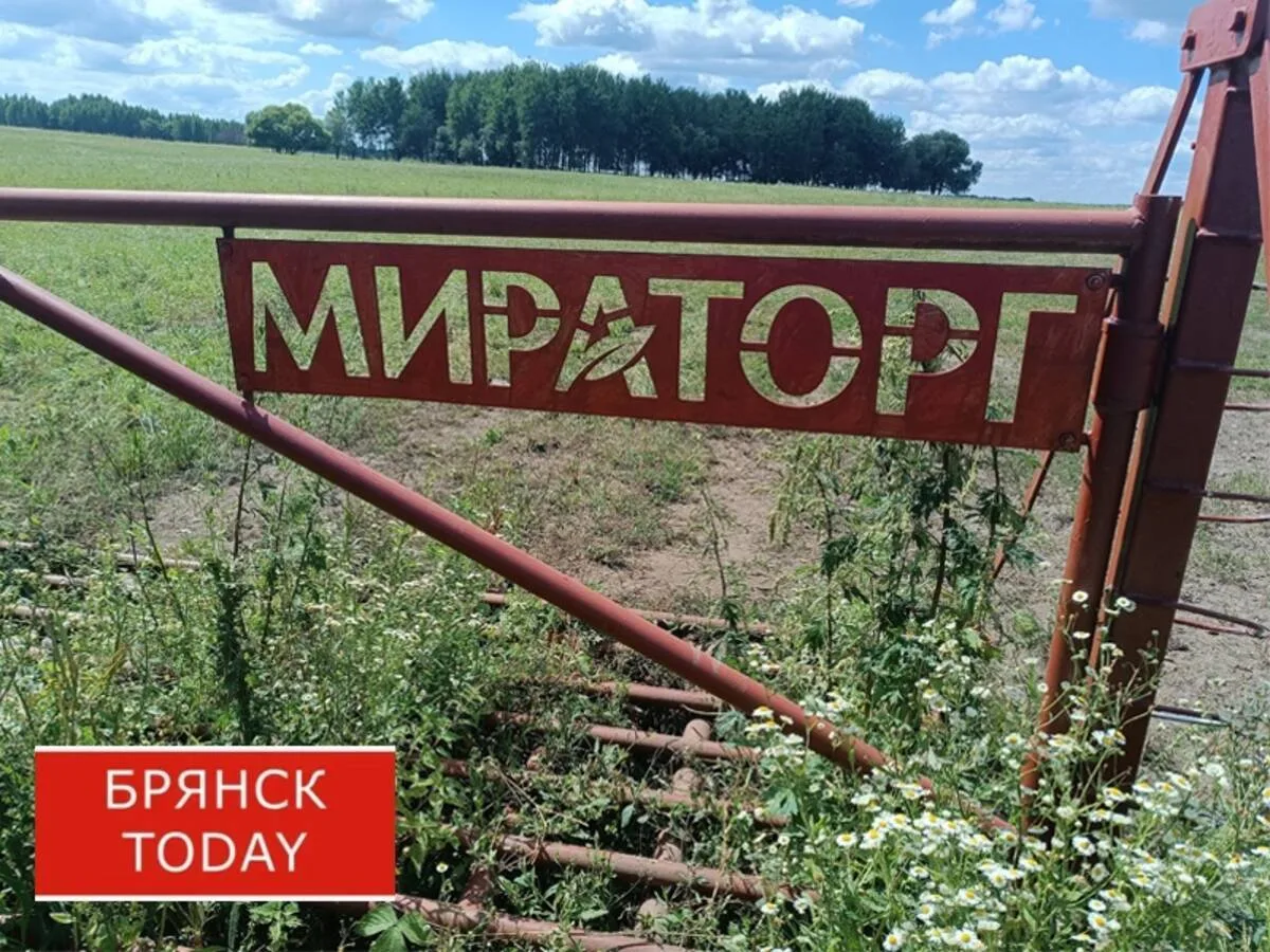 «Мираторг» в Брянской области подсчитывает ущерб после серии ударов ВСУ