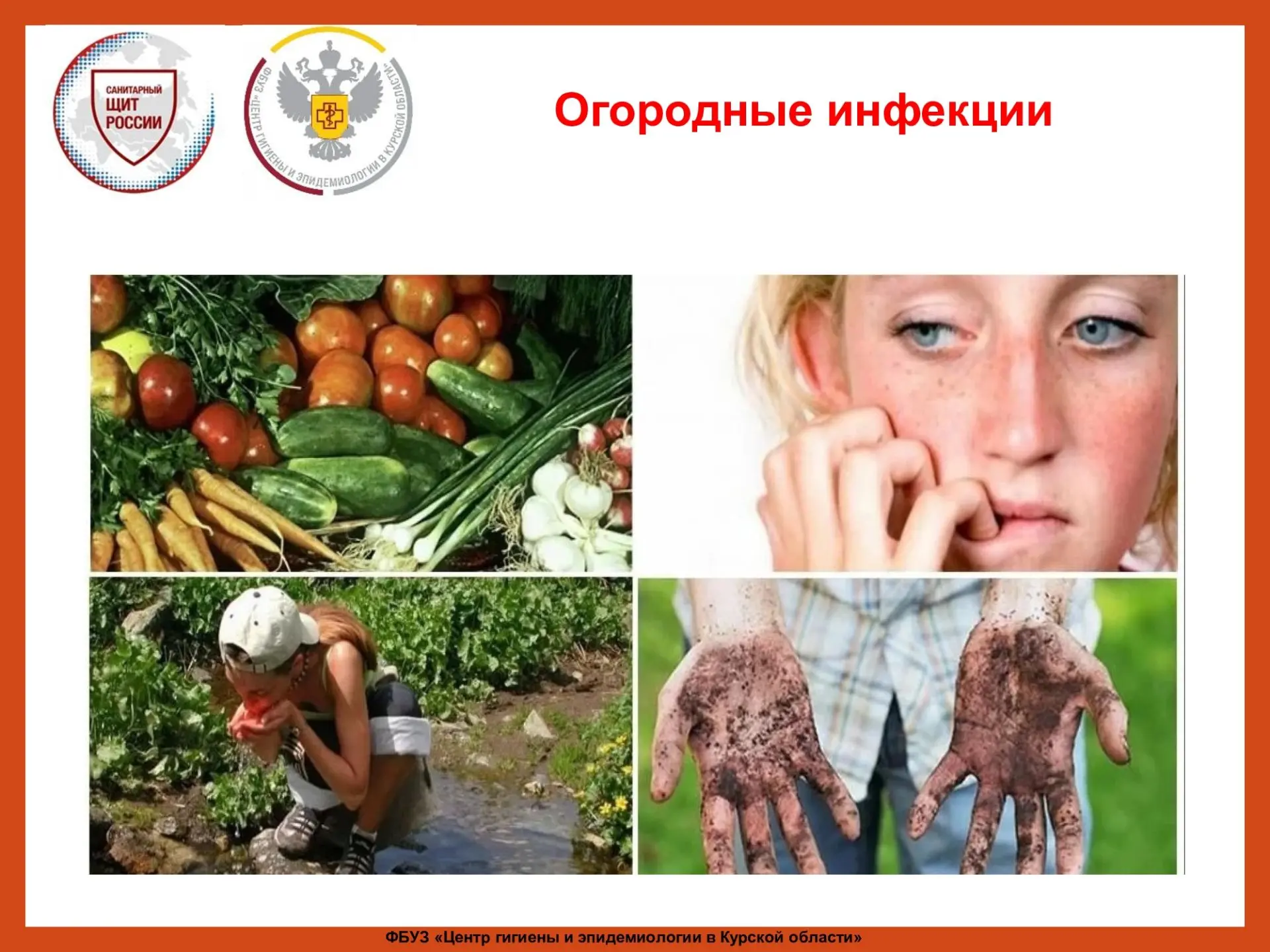 Овощи , фрукты , ягоды , зелень  являются важной частью здорового питания. В свежем вид...