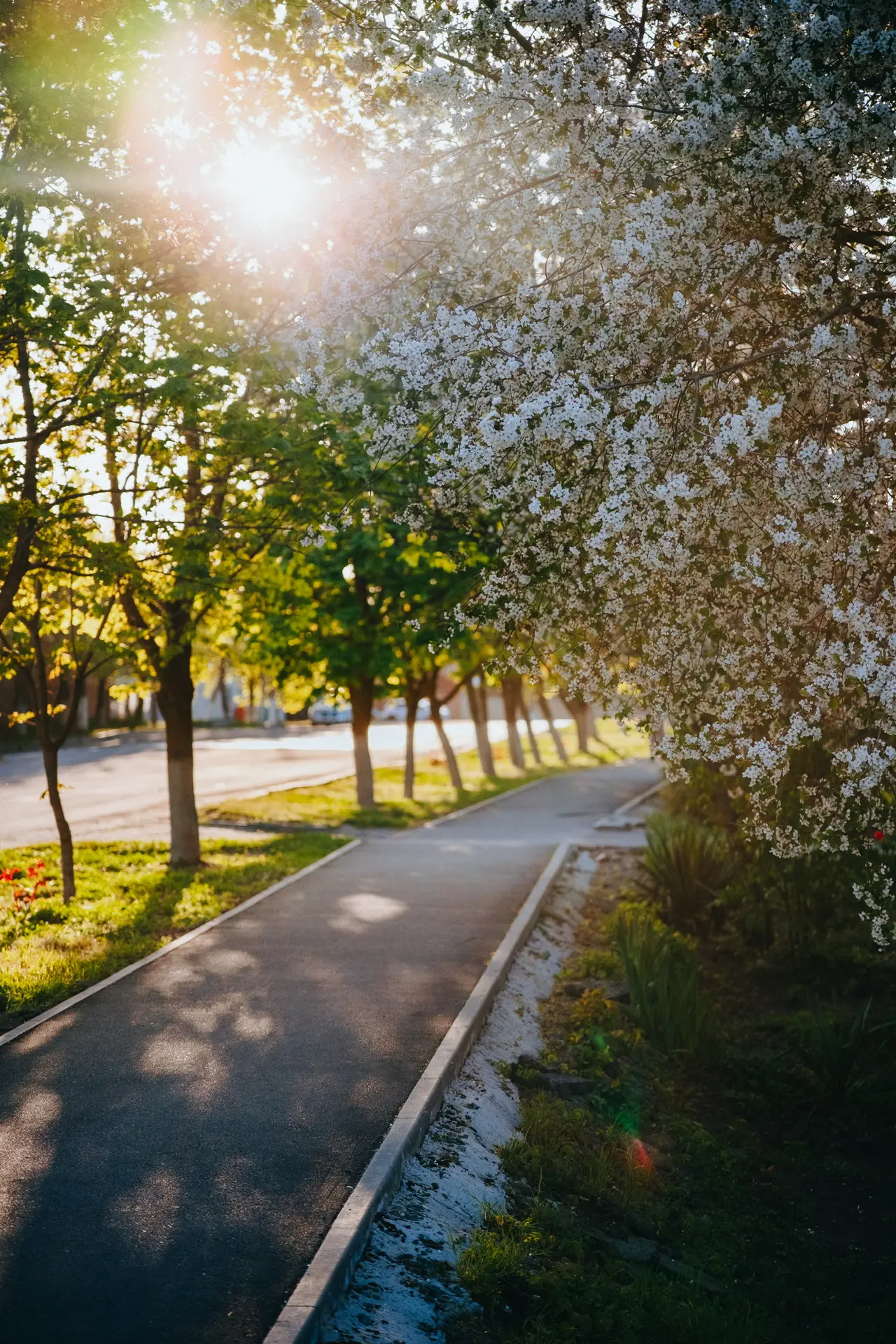 Весна. Семикаракорск.  Отличное время для прогулок 🌸🌼  💬 Главный чат Семикаракорска